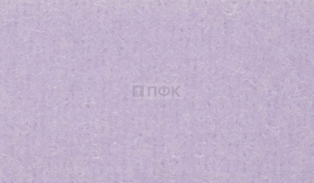 Лента контактная пришивная (липучка/велькро) 25мм цв 079 (рул 25м/кор 500м)